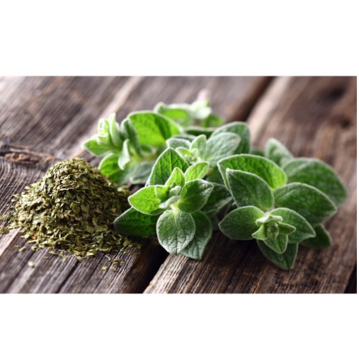 Gia Vị Tây Oregano Badia