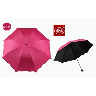 Ô gấp “Gặp nước Nở Hoa”