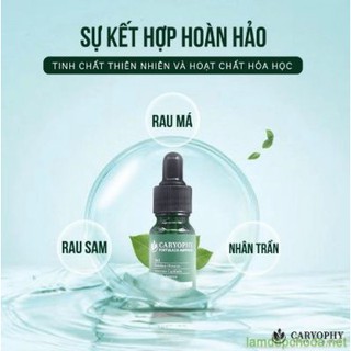 Serum CARYOPHY PORTULACA AMPOULE 10ml