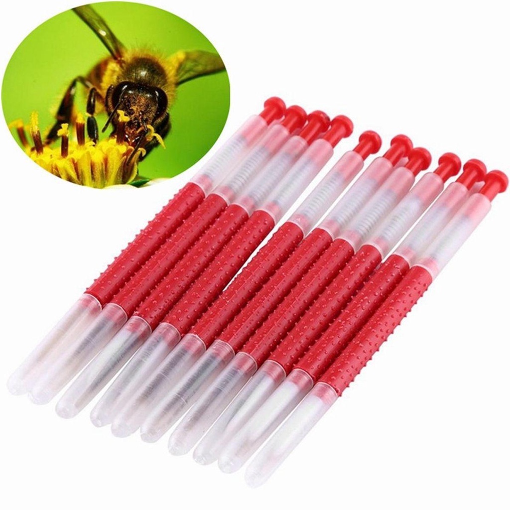 Set 10 Dụng Cụ Ghép Ong Chúa Côn Trùng