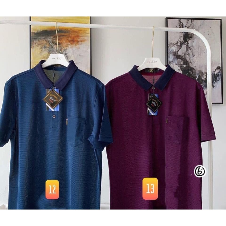 Áo polo tặng bố | BigBuy360 - bigbuy360.vn