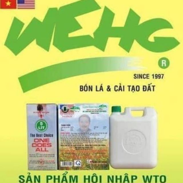 PHÂN SINH HỌC WEHG