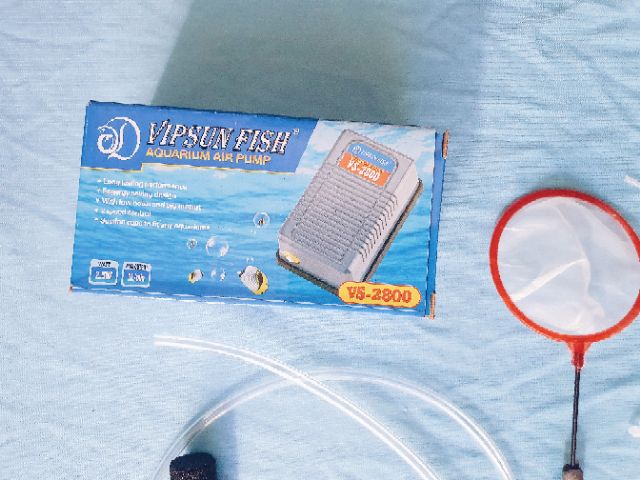 COMBO MÁY OXY VÀ BỘ ẤP ARTEMIA KHÔNG BÌNH CHO CÁ CON GUPPY BETTA