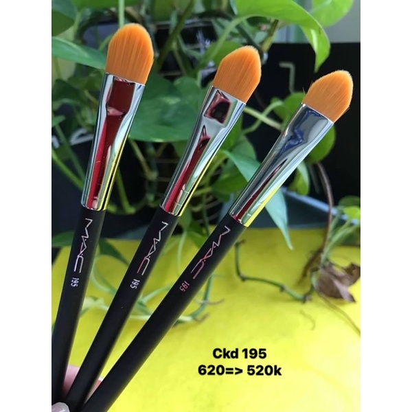 Cọ phủ, cọ mắt, ckđ… sale từ 450-880k | BigBuy360 - bigbuy360.vn