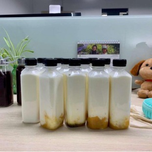 set 100 chai nhựa vuông nắp đen làm trà thái, trà sữa 330ml