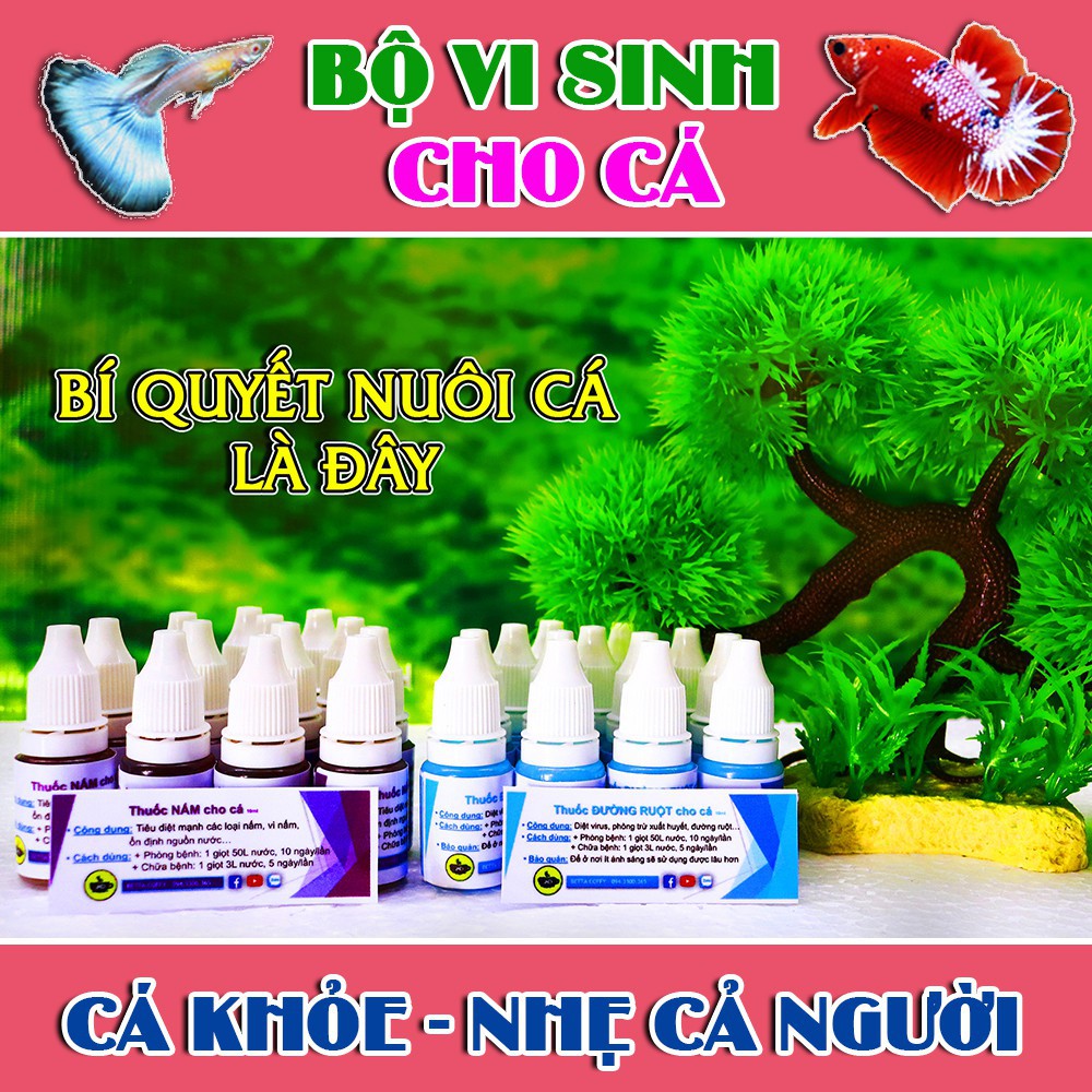 Vợt Lưới Đen Cao Cấp - Vớt Cá | BETTA COFFY ☕️