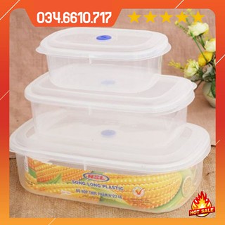 Bộ 3 hộp nhựa song long cỡ lớn 2246