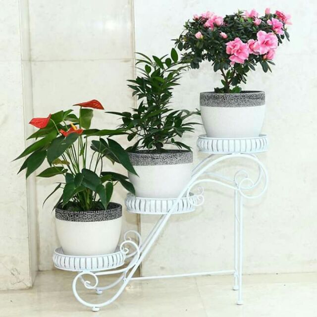 Sỉ  2 Kệ để hoa, Cây cảnh,  đồ trang trí cực đẹp