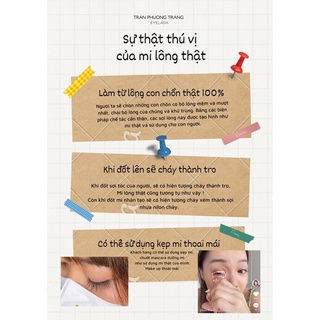 Mi Lông Thật TPTLASH, mi em bé, mi siêu thực