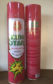 Bình xịt diệt côn trùng KING STAR 600ml