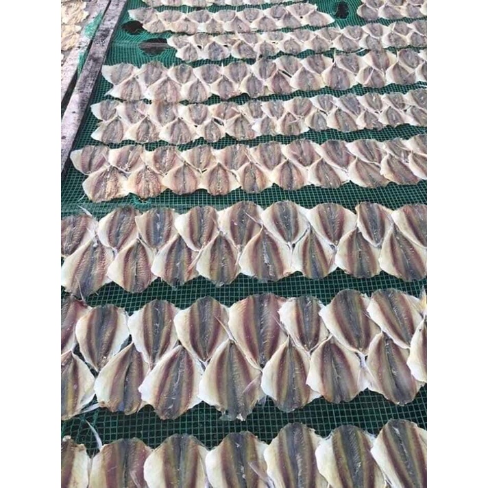 Cá Chỉ Vàng 500gr, Hải Sản Vân Đồn Loại 1 chuẩn ngon