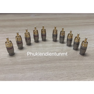 Rắc av gold snake chữ đỏ - đen
