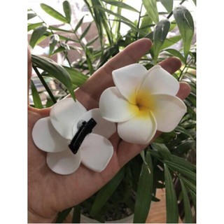 Combo 2 kẹp hoa cài tóc đi biển