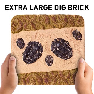 Trò chơi Khảo Cổ học Hóa Thạch từ National Geographic ( National Geographic Mega Fossil Dig Kit )