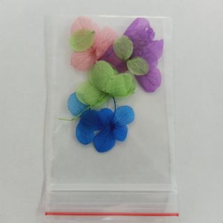 Hoa khô gói nhỏ cẩm tú cầu làm resin