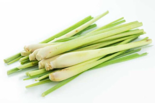 Tinh Dầu Sả Chanh 10ML Nguyên Chất Organic ( Lemongrass Essential Oil )