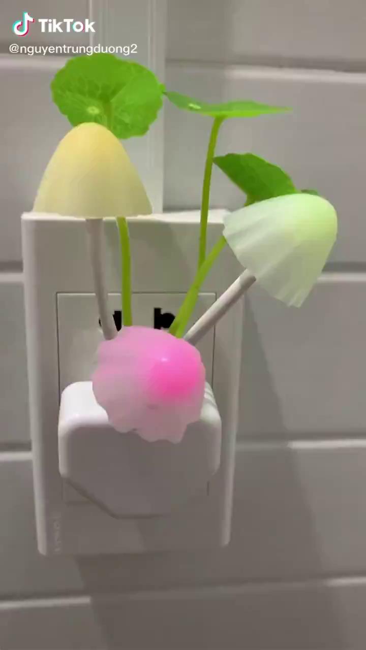 Đèn ngủ cây nấm mini dễ thương có cảm ứng thông minh tự tắt mở - Dbavio | BigBuy360 - bigbuy360.vn