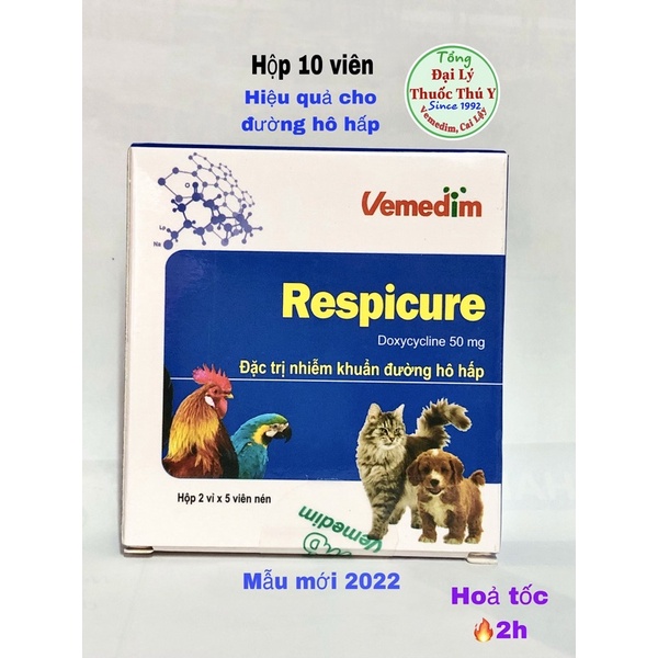 Respicure hộp 10 viên uống tốt cho đường hô hấp chó mèo thành phần Doxyciline 50mg khi nhiễm khuẩn đường hô hấp