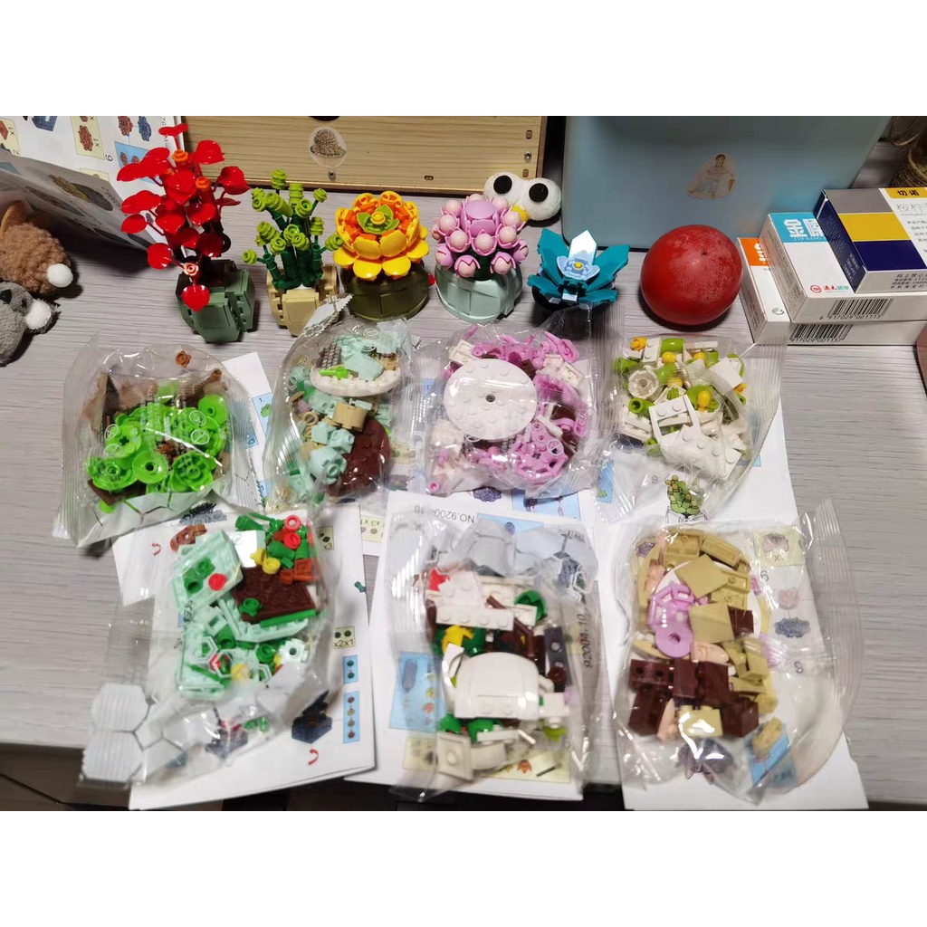 Lego lắp ráp Chậu Sen Đá, Xương rồng.