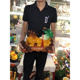 Tỳ hưu phong thuỷ