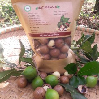 Hạt macca Daklak 500g