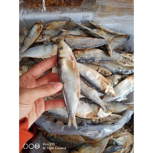 1kg khô cá trích loại 1