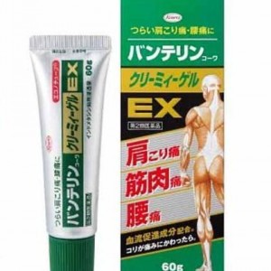 Gel bôi giảm đau nhức Vantelin Kowa EX