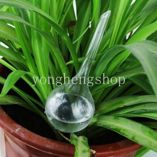 Thiết Bị Tưới Nước Tự Động Hình Quả Bóng Kính Giả Tự Động Cho Cây Cảnh