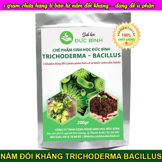 TRICHODERMA BACILLUS  - CHẾ PHẨM SINH HỌC CHUYÊN Ủ PHÂN HỮU CƠ VÀ KIỂM SOÁT NẤM BỆNH