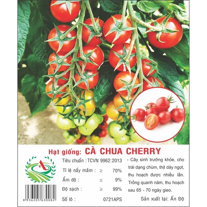 Gói hạt giống CÀ CHUA CHERRY