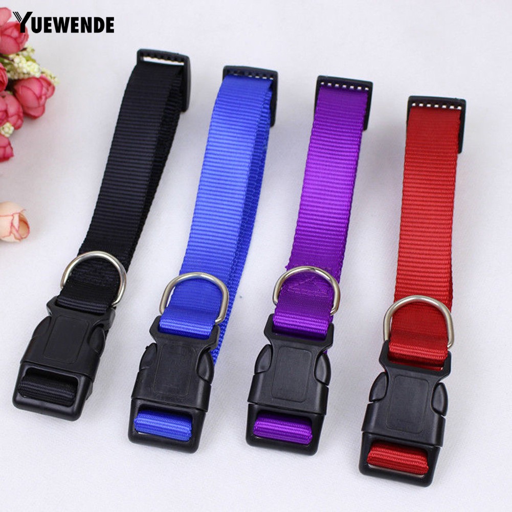 Vòng cổ an toàn đáng yêu dành cho thú cưng