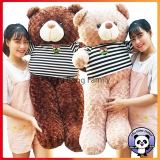 -gấu bông teddy 1m4 khổ vải cao 1m2 hàng chuẩn loại 1