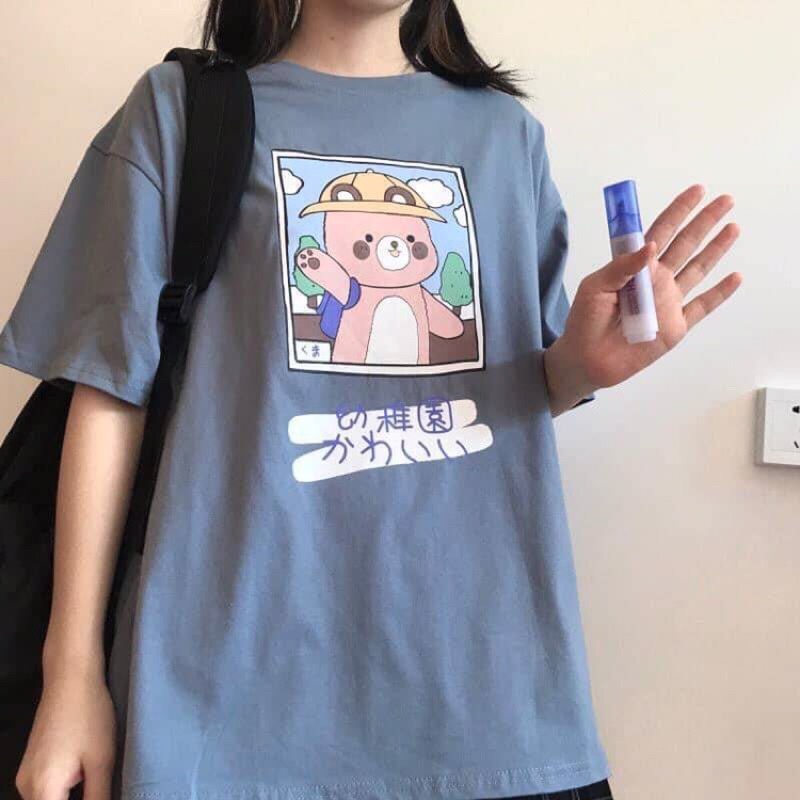 Áo Thun in hình CON LỢN , 100% cotton UNISEX