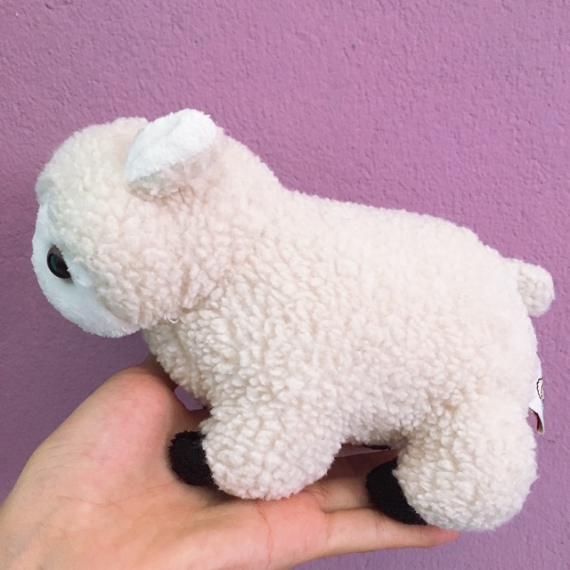 Gấu bông cừu trắng