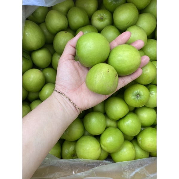 1Kg Táo Phan Rang Trái vừa (25-30 quả)