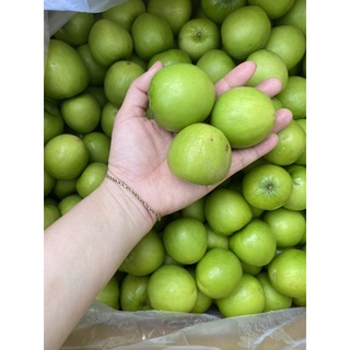 1Kg Táo Phan Rang Trái vừa (25-30 quả)