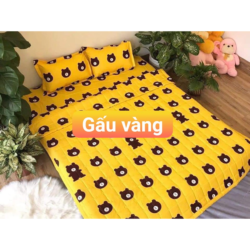 Bộ Ga Gối Nệm 4 Món Tông Màu Tươi Sáng Đầy Đủ Các Size