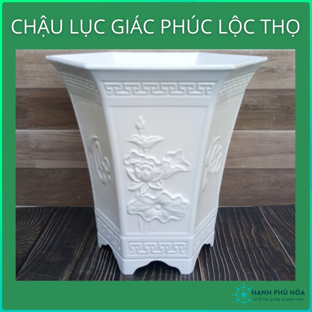 Chậu Nhựa Lục Giác Phúc Lộc Thọ Trồng Cây Cảnh- Trồng Hoa- Chậu Nhựa , Đẹp, Nhẹ, Chắc Chắn, Có Hoa Văn