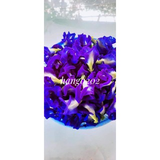 10g hoa đậu biếc khô + tặng hạt