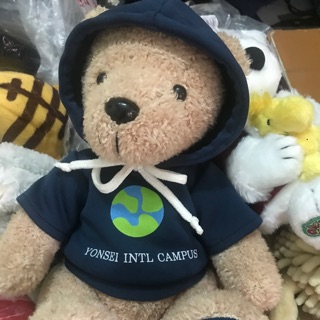 Gấu Teddy của Doan Bay Le