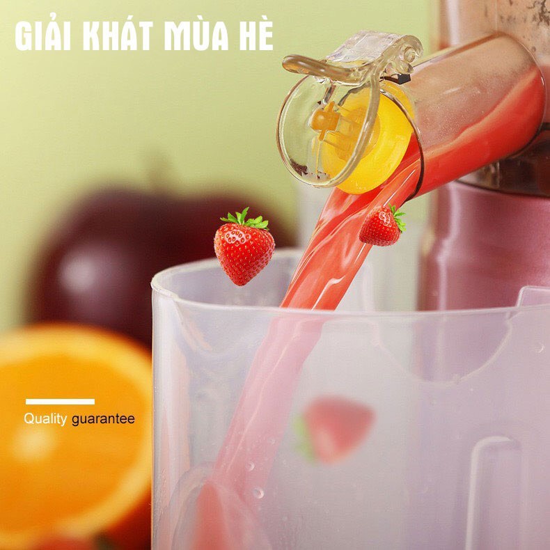 Máy Ép Chậm Tự Động MEET JUICE , Máy Ép Rau Củ Quả , Công Suất Lớn 150W - Ép Vắt Kiệt Bã , Bảo Hành 12 Tháng CT173A