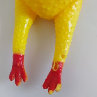 Thú cao su bóp kêu