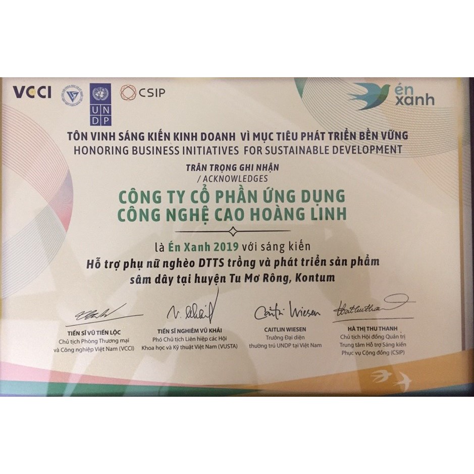 SÂM DÂY KHÔ - ĐẲNG SÂM NGỌC LINH - HỘP 1kg và TÚI 500gr - LOẠI 1 | BigBuy360 - bigbuy360.vn