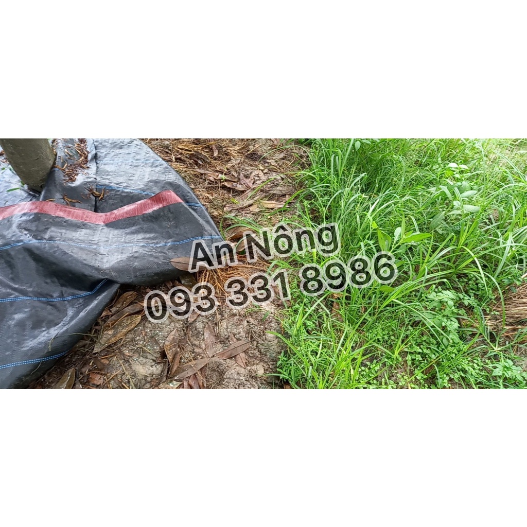 Tấm Bạt Phủ Gốc Cây Chống Cỏ Mọc 120g/m2 1.2m x 1.2m, Hàng Dày