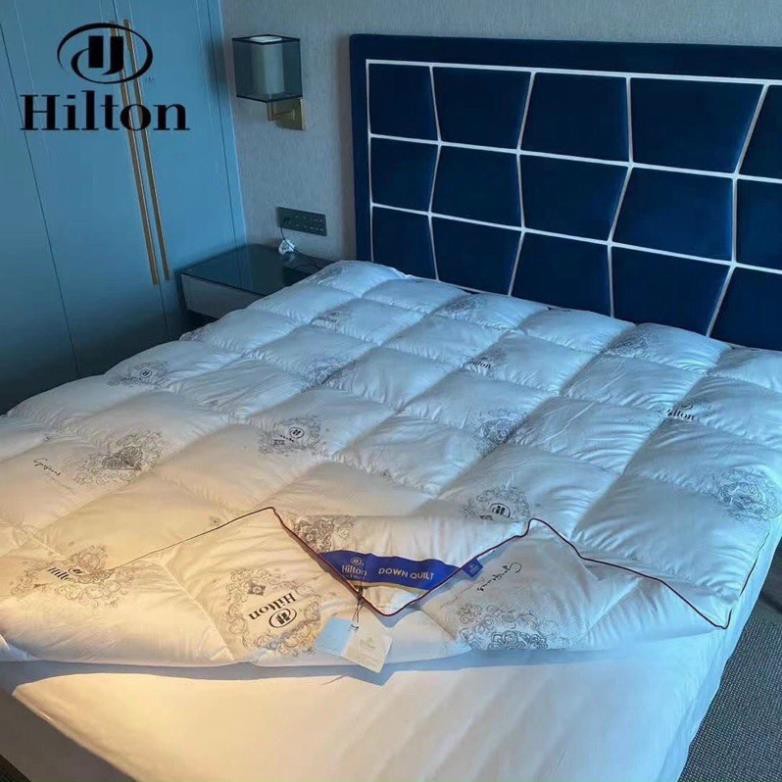 Ruột Chăn Hilton Lông Vũ [ Freeship ] Siêu Nhẹ Hàng Chính Hãng Kích Thước 2m x 2m3