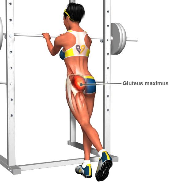 Viên uống hỗ trợ nở mông, săn chắc vòng ba Major Curves Butt 60 viên USA