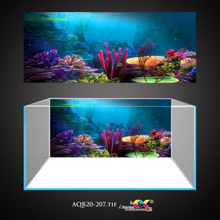 Tranh 3D dán bể cá mẫu san hô tuyệt đẹp, có keo sẵn trên bề mặt, đa dạng kích thước (AQB20-207)
