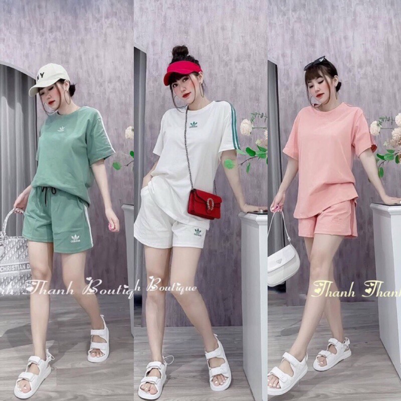 BỘ COTTON 3 LÁ CỘC VIỀN SỌC BẢNG 3 MÀU CHO NỮ ...