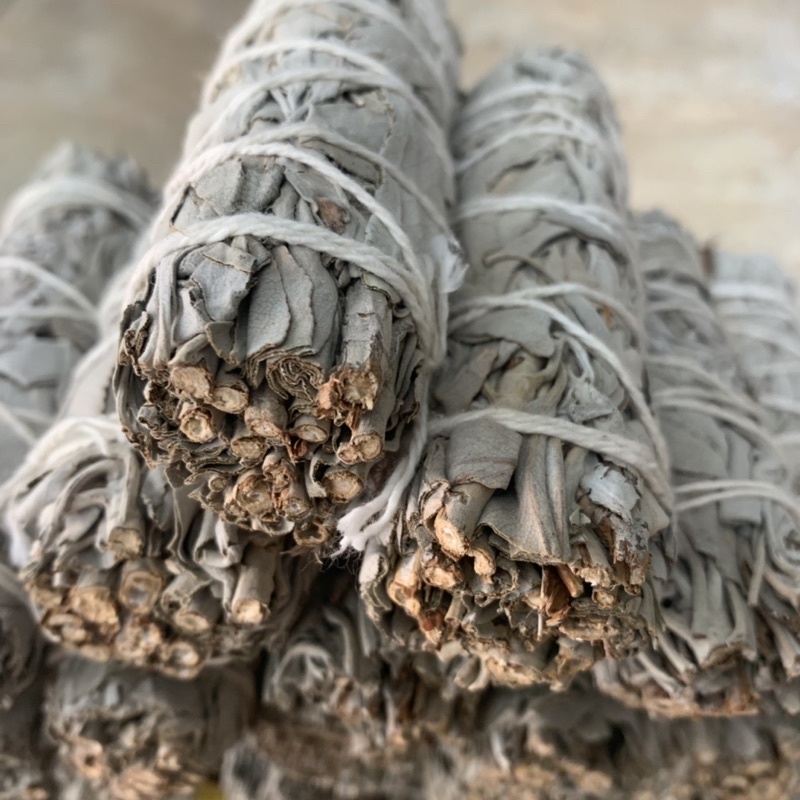 Cây Xô Thơm Trắng- White Sage - thanh tẩy- xông nhà- Yinyang shop