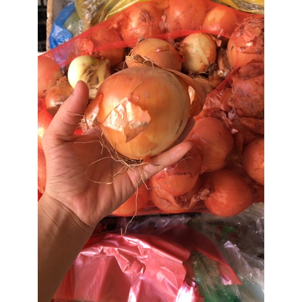 1Kg Hành Tây củ ngon không hỏng- hàng tươi ngon mỗi ngày